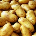 nieuwe aardappels